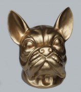 Franse bulldog goud 8002